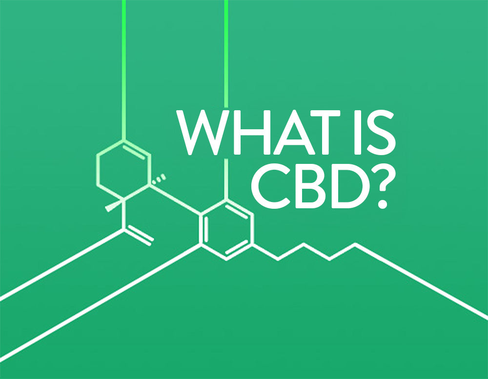 Banner for a blog about CBD with molecule structure