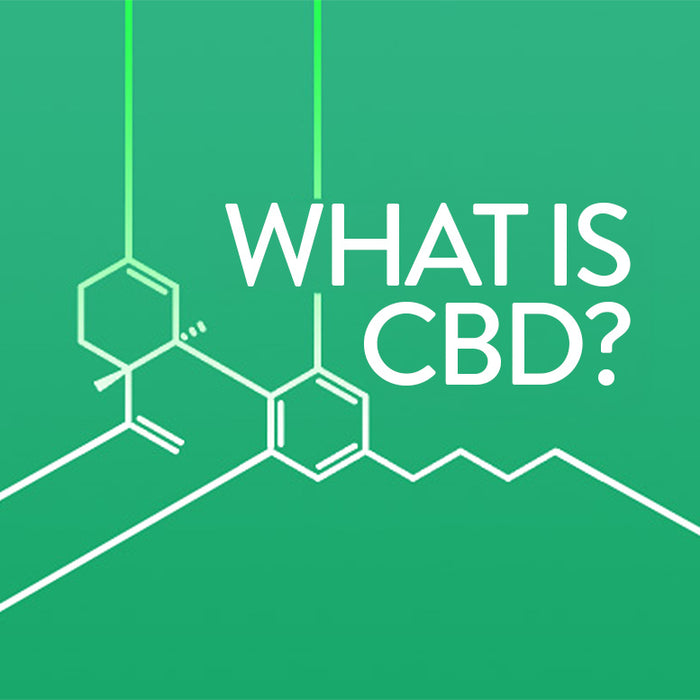 Banner for a blog about CBD with molecule structure