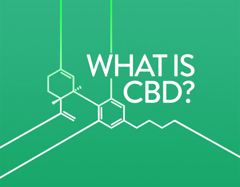 cbd-what-is-cbd-blog-uk-cbd-store-uk-cbd-store